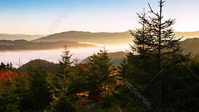 Mountains and Spruce and Fog. Time Lapse 4K