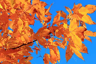 Changing Colors
