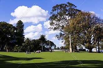 Green lawn in public