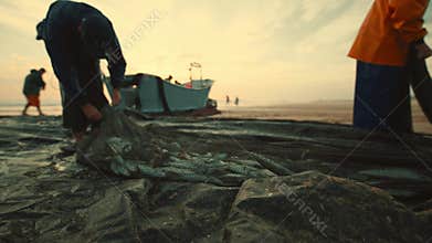 Fishermen collecting a large fishing net on the beach at sunset