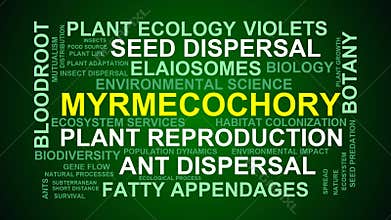 Myrmecochory Word Cloud