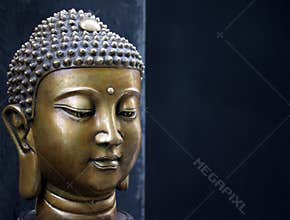 Buddha head
