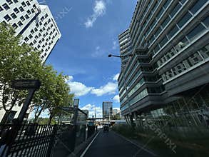 Modern office towers frame narrow city street beside trees and blue sky