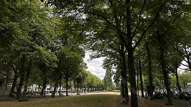 Tree lined urban avenue beside quiet parkland with traffic, cars, benches