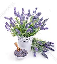 Pot of lavender and bowl with dried flowers