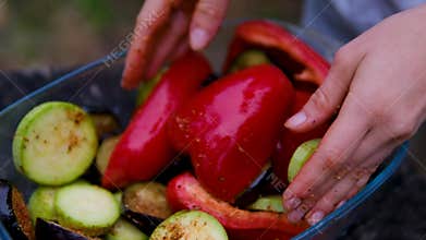 Grilled Vegetables Recipe with Eggplant Zucchini Bell Pepper and Tomatoes Marinated with Spices and Cooked on Outdoor