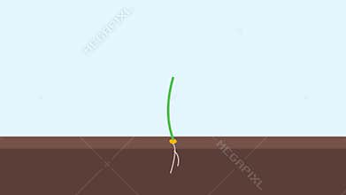 Sprouting Plant Growing Heart Leaves in Minimalist Flat Illustration