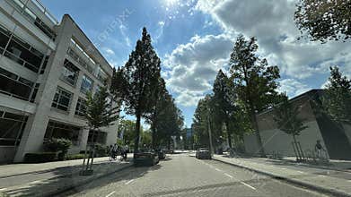 Modern office street in Amsterdam Zuid with tall trees, parked cars, cyclists