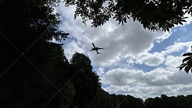 Group of horses gathered in sandy paddock beneath cloudy sky, with airplane