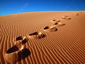 Footprints in the sand