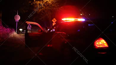 Police Car Crime Scene Investigation