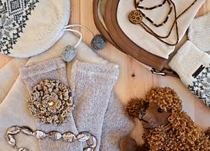 Women's clothing, accessories