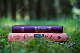 Closed books outdoor. Knowledge is power. Book in a forest. Book on a stump