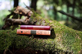 Closed books outdoor. Knowledge is power. Book in a forest. Book on a stump