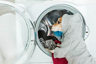 Gray grey hoodie sweater dog back closeup put clothes to washing machine.