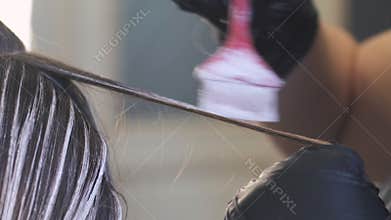 Stylist does hair coloring in beauty studio, woman changes her look, professional coloring and hair care, beauty