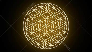 The Flower of Life Forming Sacred Geometry Symbol