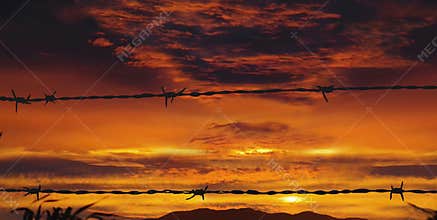Barbed wire on war sunset. Fire in sky.