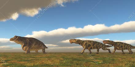 Permian Inostrancevia hunts Keratocephalus