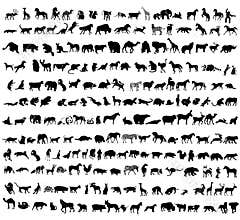 Animals vector collection