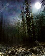 Dreamland