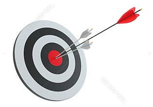 Arrows in archery target