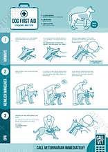 Dog cpr and first aid