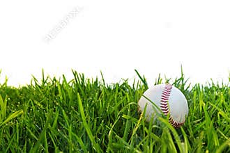 Baseball in Dewy Grass