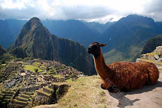 Machu Picchu and the Lama