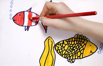 Drawing