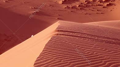 Red sand close up and Garbage bag flies.