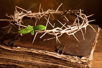 Bible and Easter crown