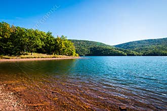 Lush Vegetation Around Raystown Lake, in Pennsylvania During Sum