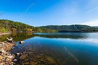 Lush Vegetation Around Raystown Lake, in Pennsylvania During Sum