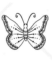 Hand drawn butterfly