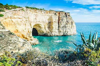 Portugal Algarve beach cave view with local common vegetation