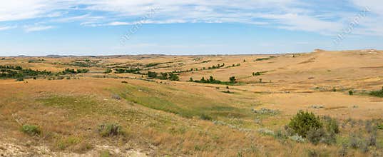 Prairie, Grass, Banner, Panorama, Panoramic