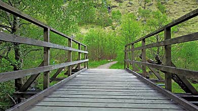 Flying over a bridge in the jungle