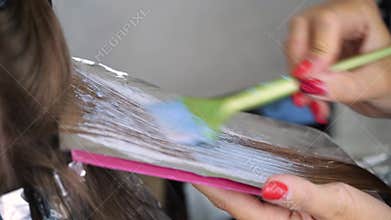 Hairdresser coloring hair in studio
