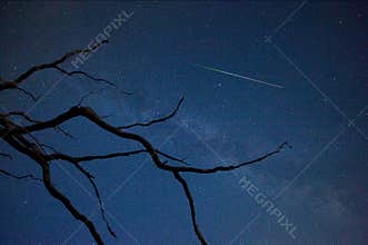 Perseid in August
