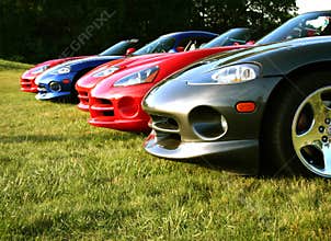 Vipers are ready for racing