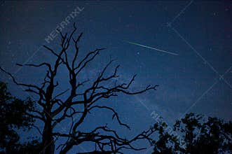 Perseid in August