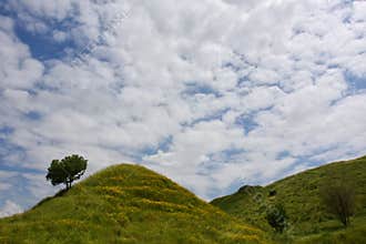 Biblical landscape