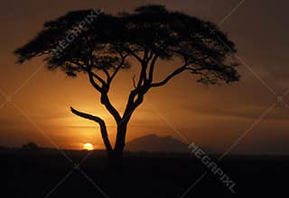 Kenya Sunset, Africa