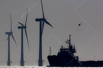Green energy. Offshore wind farm turbines with ship at sea. Silhouette at dawn.