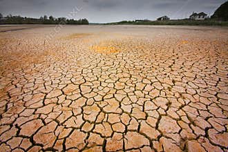Cracked earth