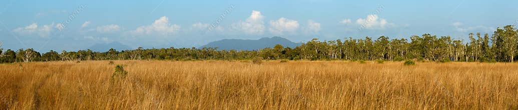 Biome Savanna sunset time with Panoramic scene at Tropical Deciduous Forest. Koh Pratong Marine National park