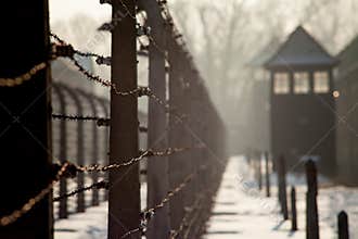 Museum Auschwitz - Holocaust Memorial Museum. Anniversary Concentration Camp Liberation Barbed wire around a concentration camp.