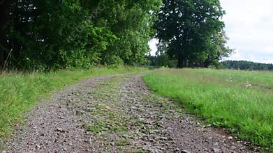 Pan view of country path and landscape