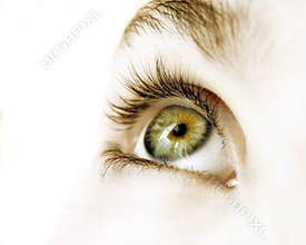 Green eye